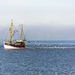 Ferienlandhaus Tossens Lejlighed *