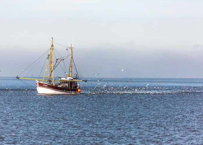 Ferienlandhaus Tossens 公寓 *